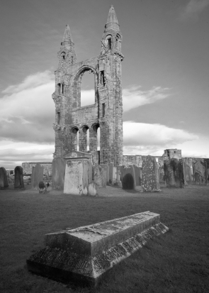 40 St Andrews Abbey