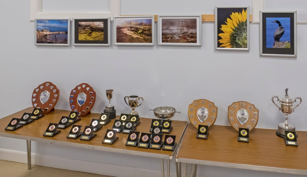 Our club trophies before they were presented at the club AGM.